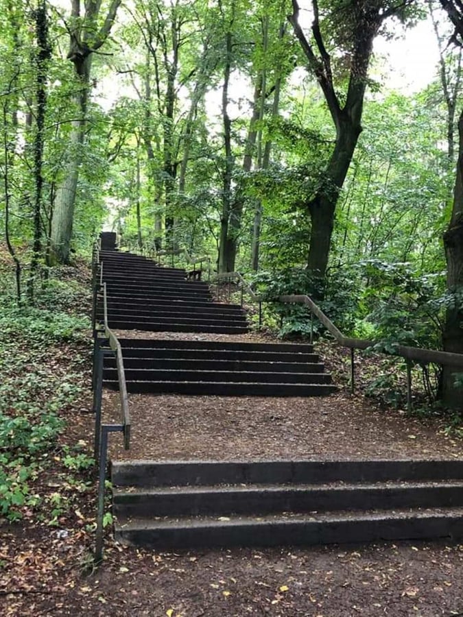 Vršíček