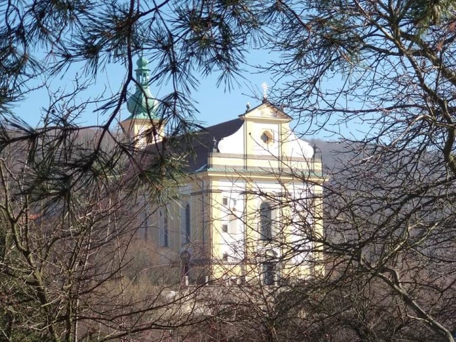 Konojedy