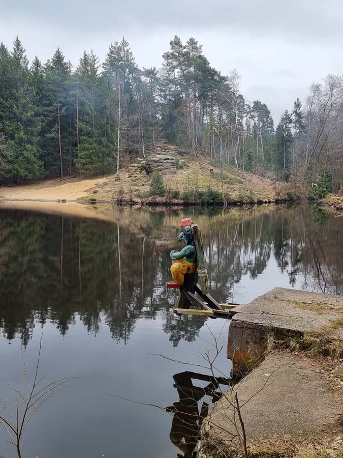Lesní rybník