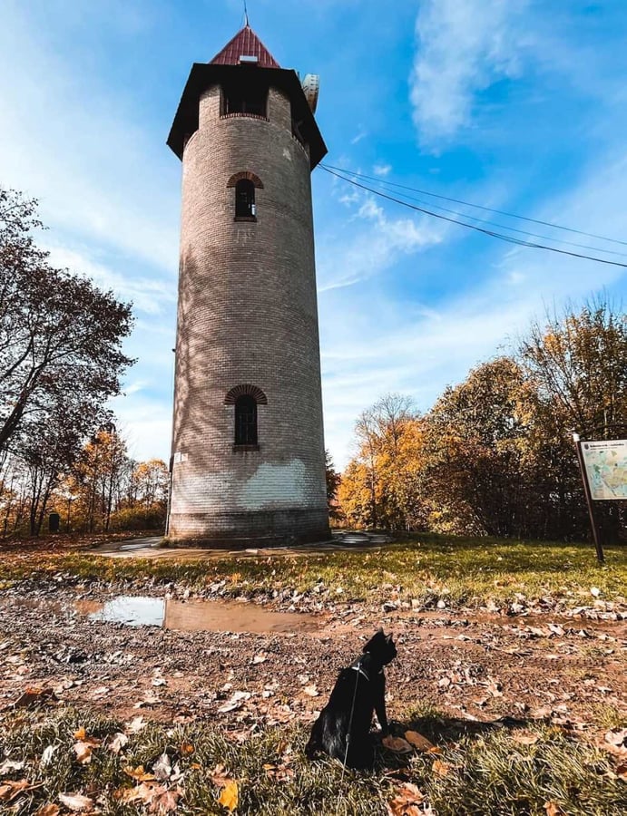 Bohušův vrch