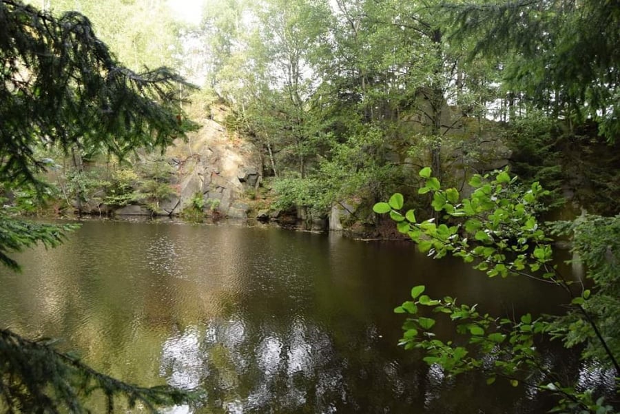 Brankopy