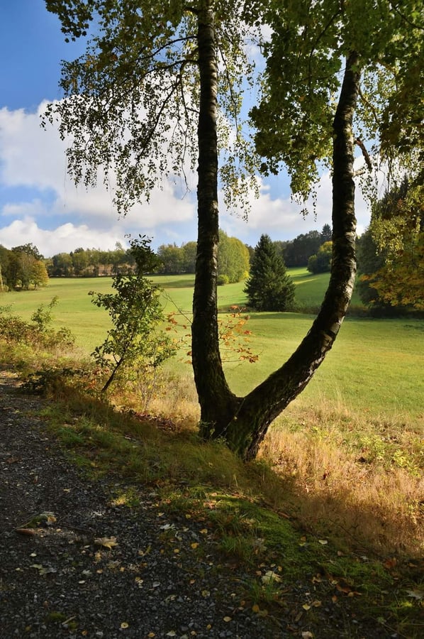 Přírodní park Zelenov
