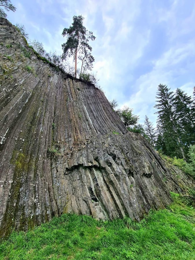 Rotavské varhany