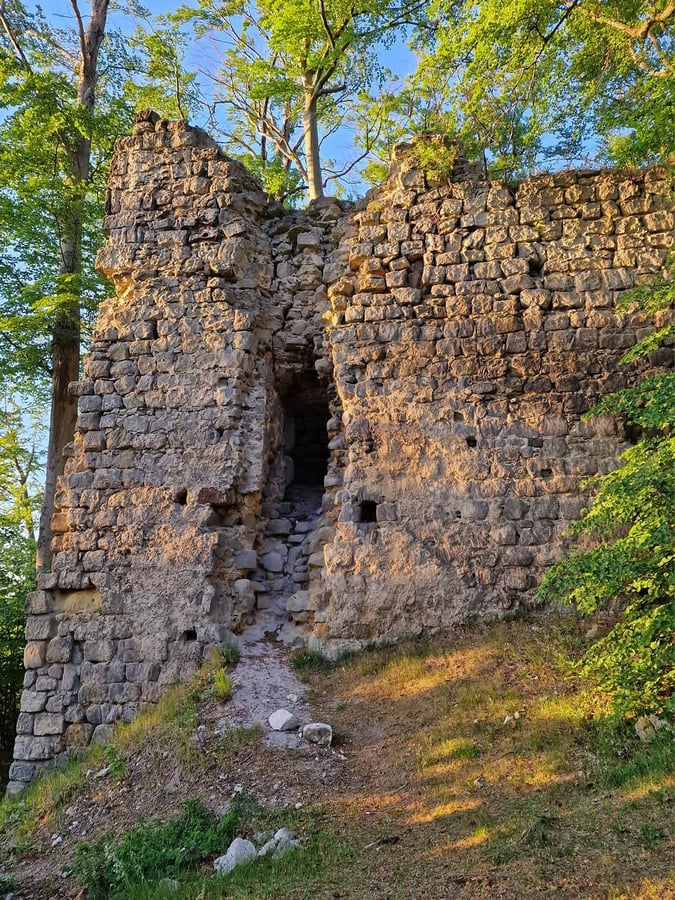Zřícenina hradu Děvín