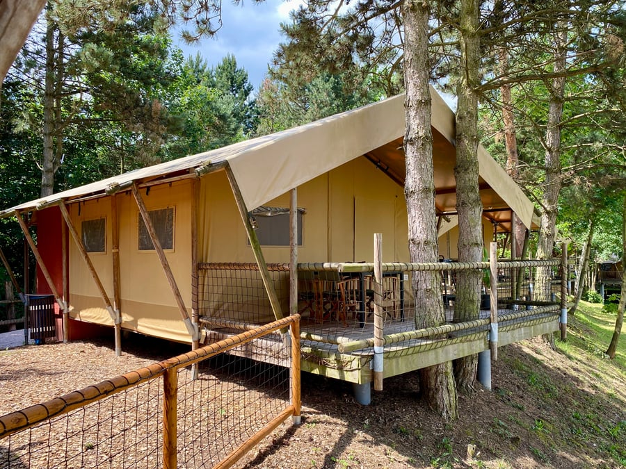 Safari kemp ZOO Dvůr Králové