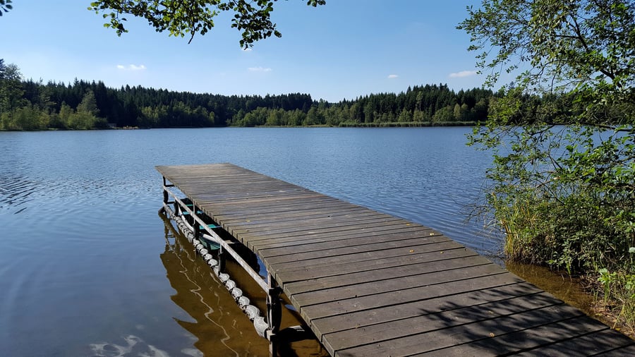 Rybník Sykovec