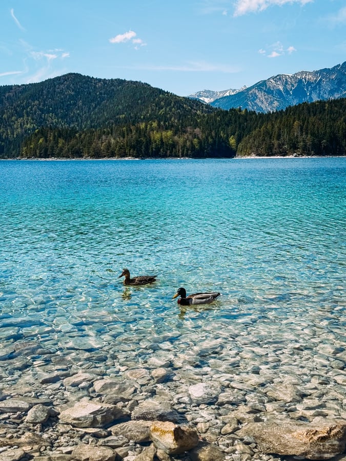 Eibsee