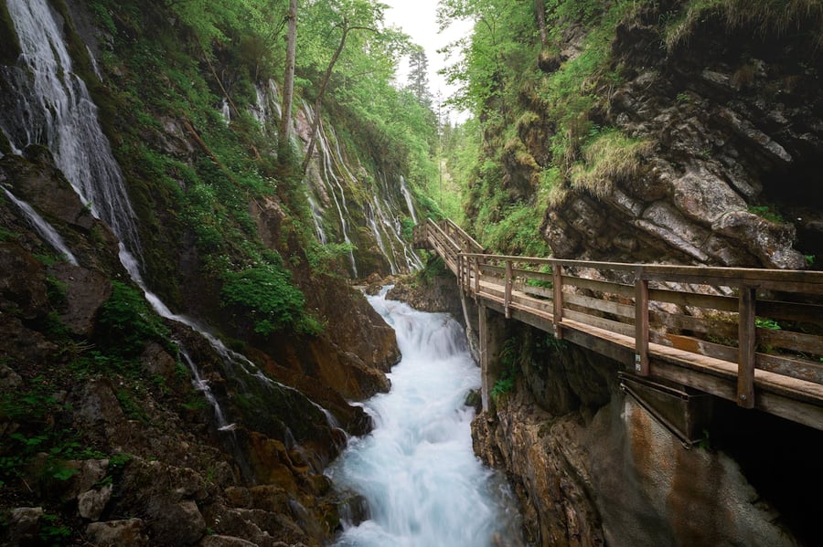 Zauberwald Ramsau