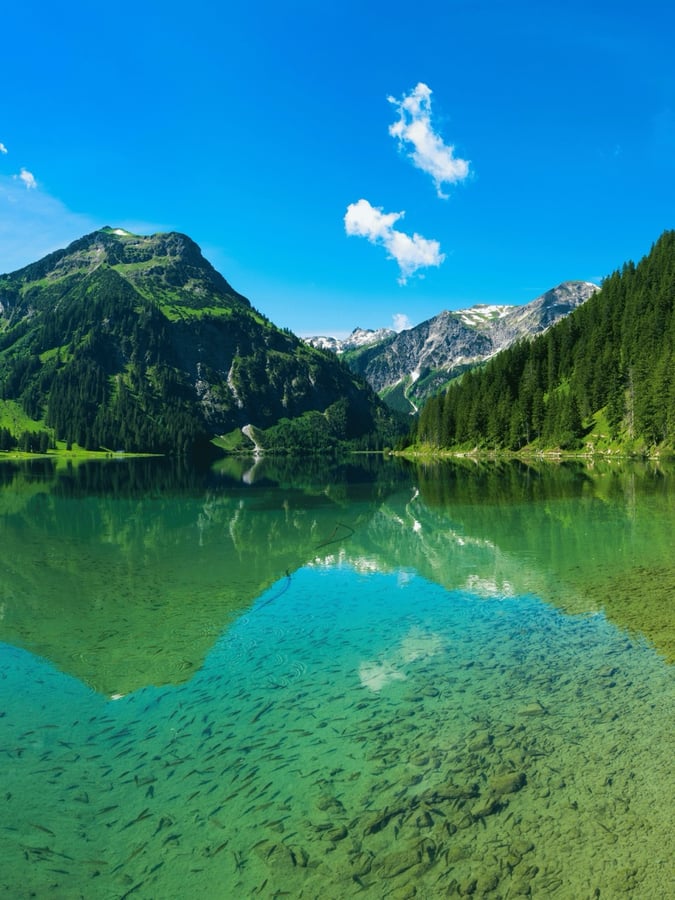 Vilsalpsee
