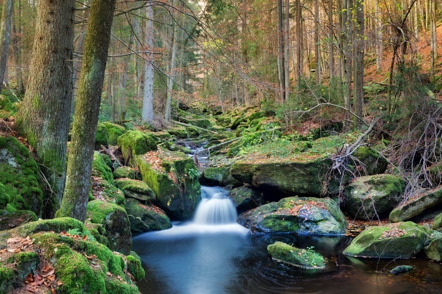 Steinklamm