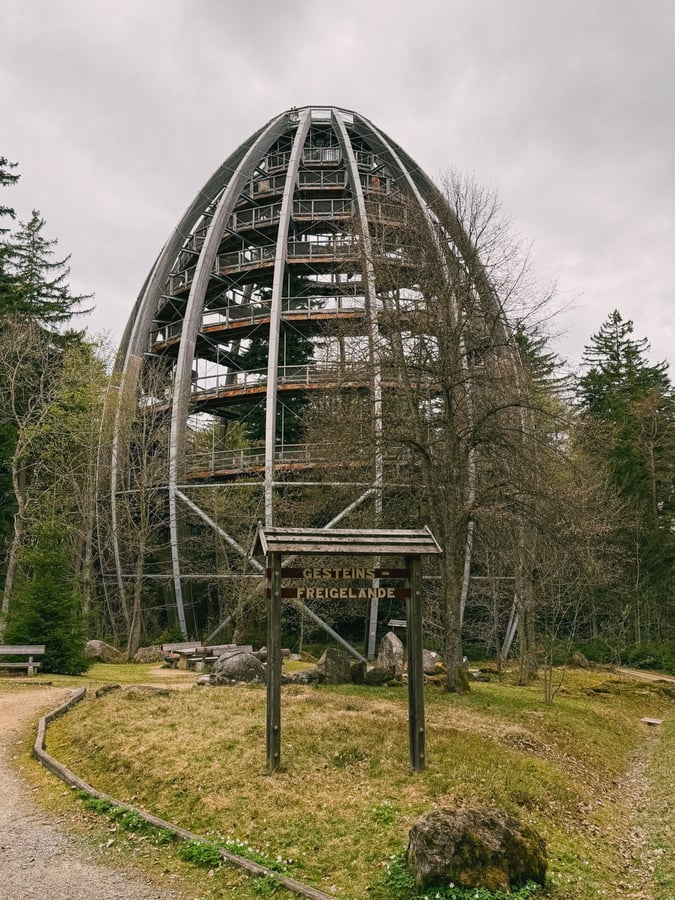 Baumwipfelpfad Bayerischer Wald
