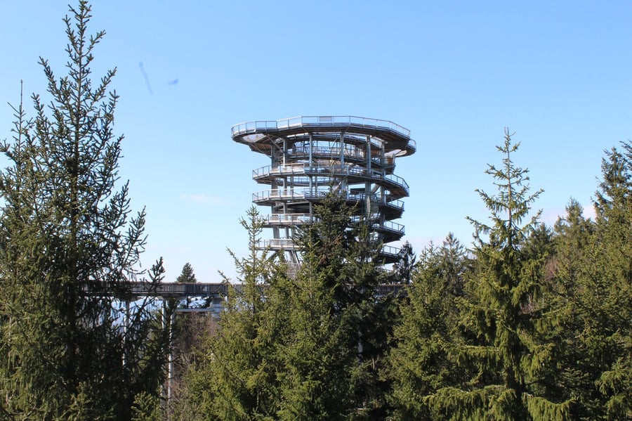 Waldwipfelweg Sankt Englmar