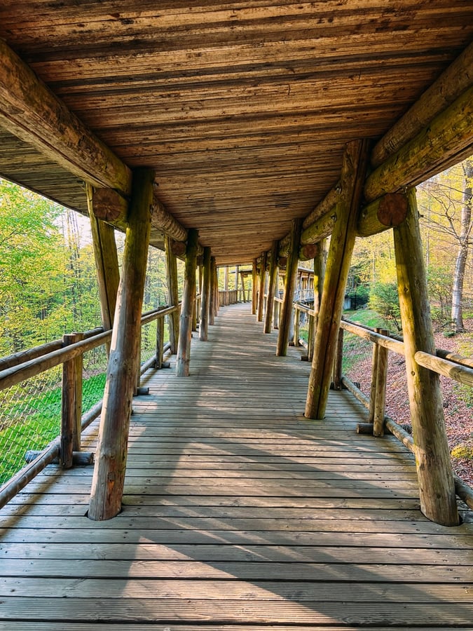 Nationalparkzentrum Falkenstein