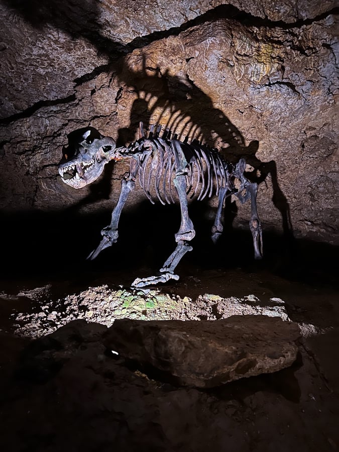 Čertova jeskyně (Teufelshöhle Pottenstein)
