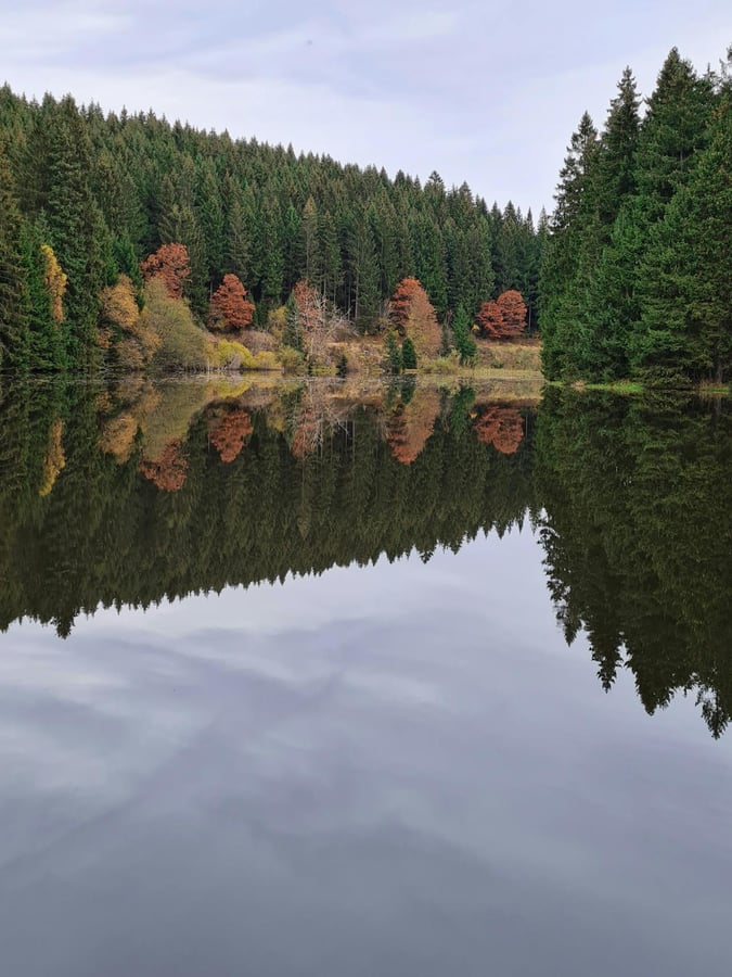 Národní park Harz