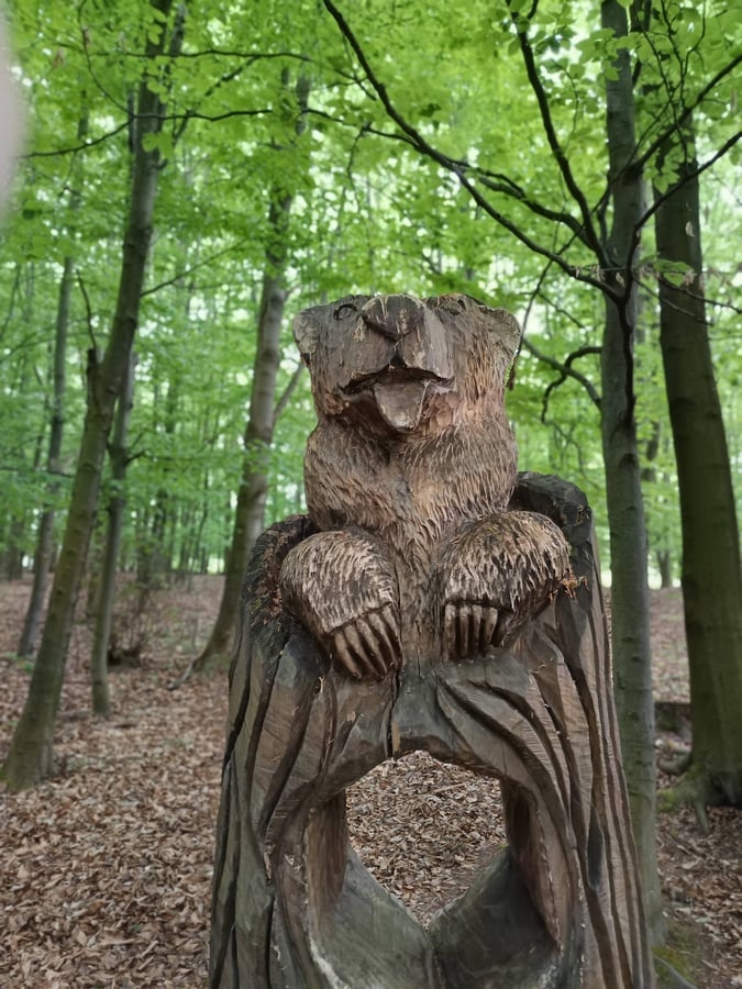 Lesní park Klimkovice
