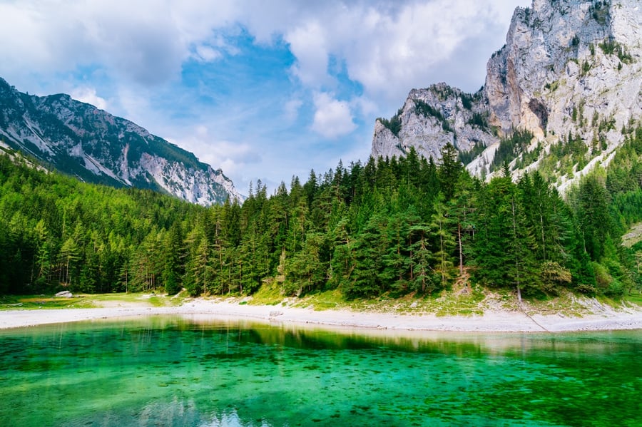 Grüner See
