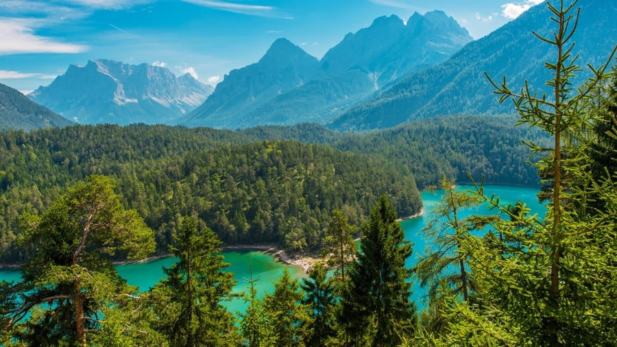 Blindsee