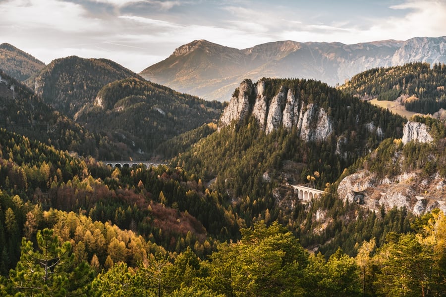 20-Schilling-Blick