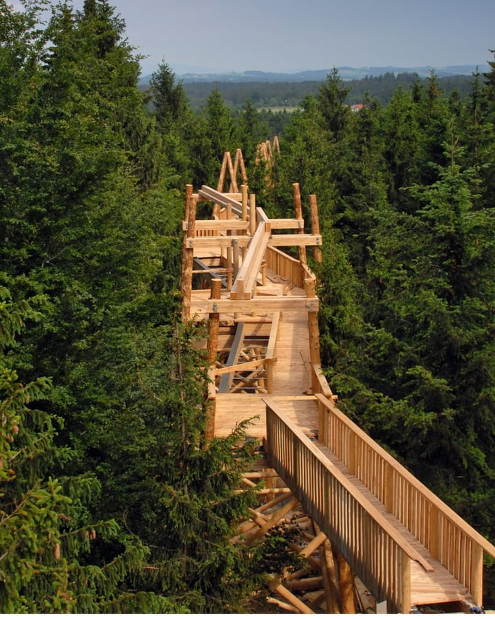 Baumkronenweg Kopfing