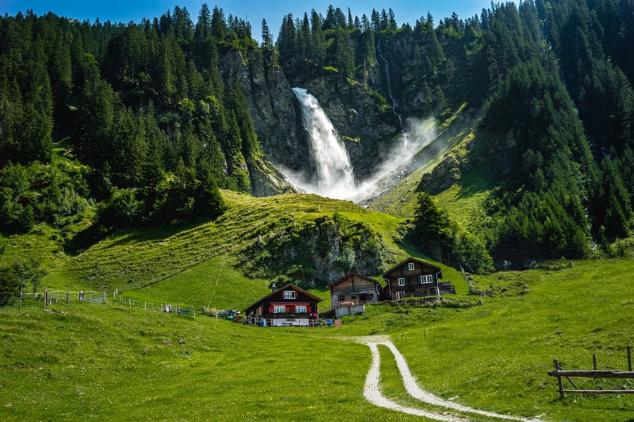 Stäubifall