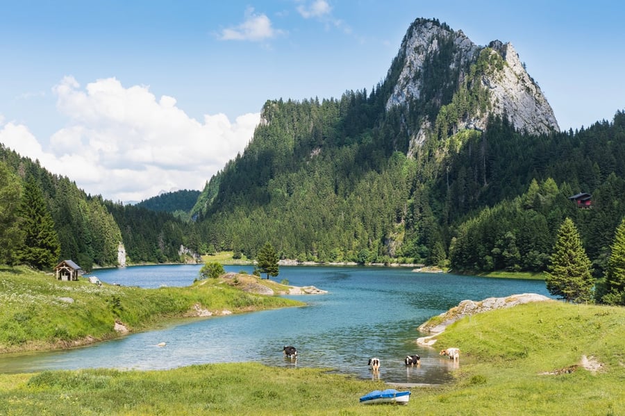 Lac de Taney