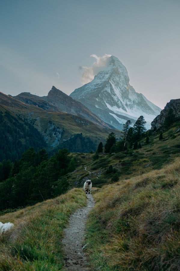 Výhled na Matterhorn