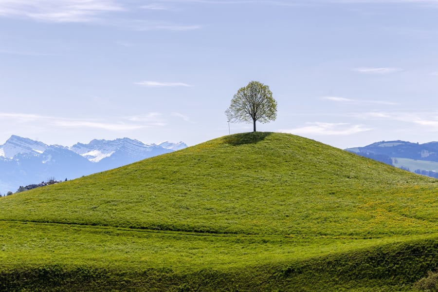 Stromečkové kopce Hirzel