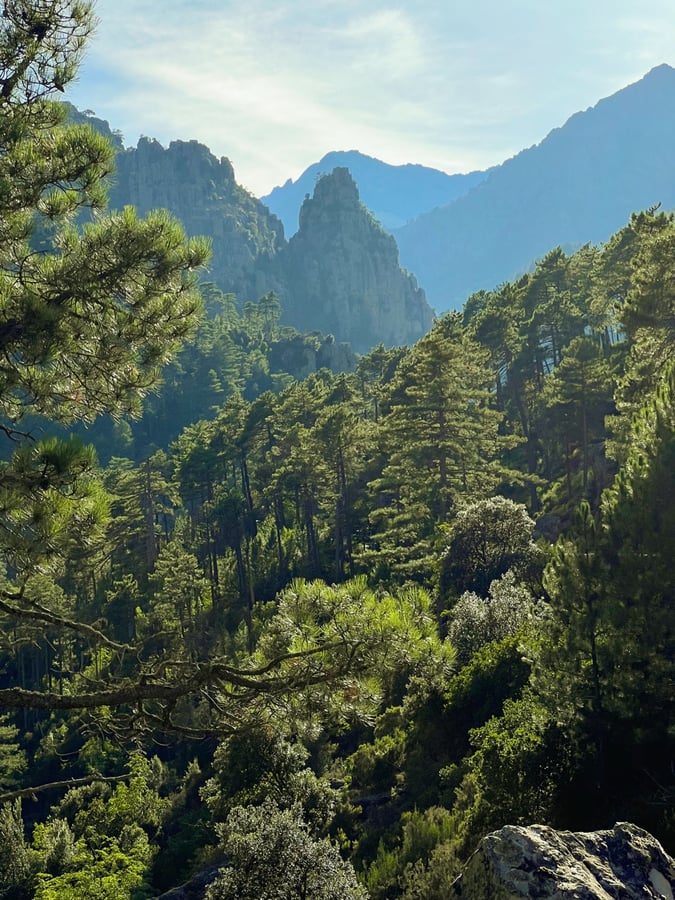 Restonica valley