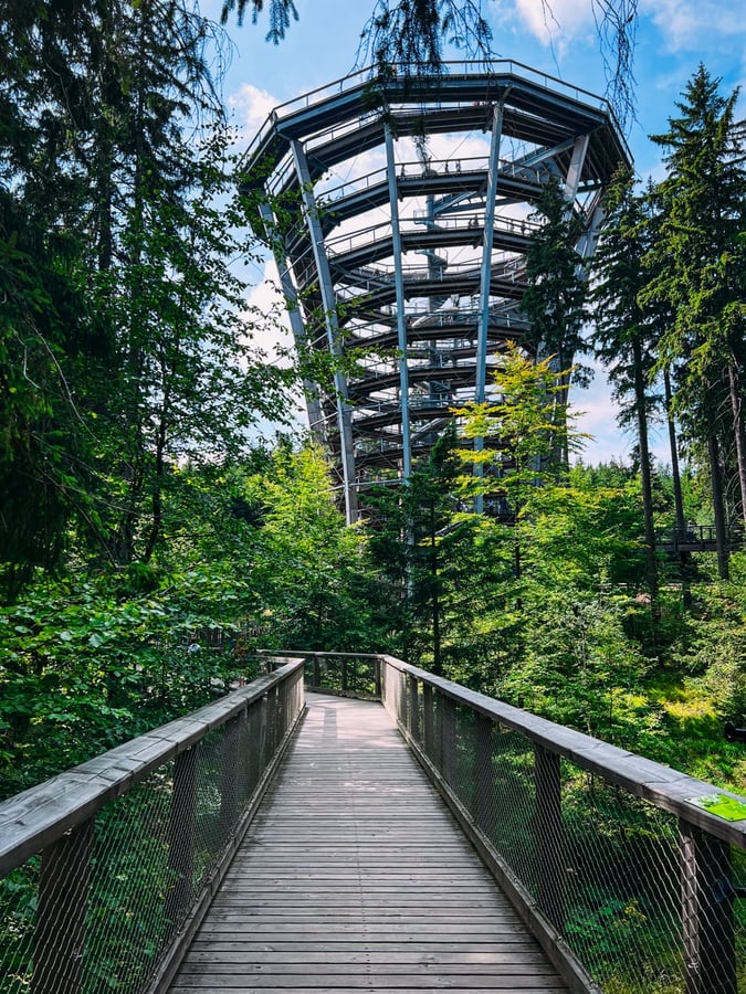 Stezka korunami stromů Krkonoše