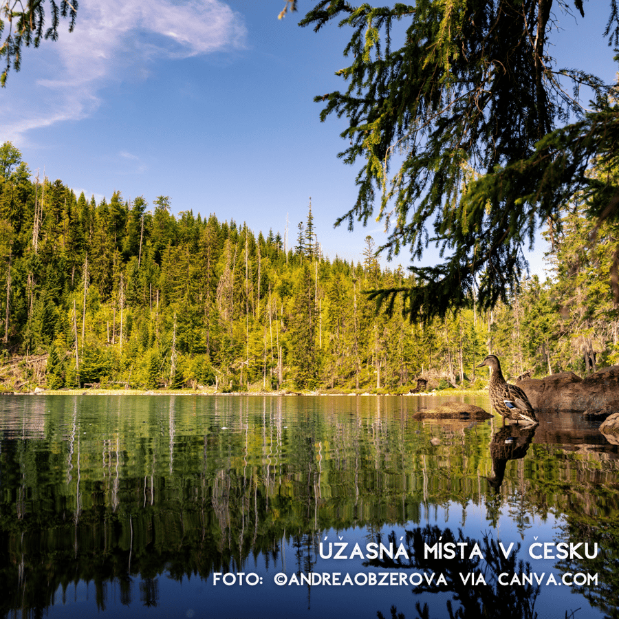 Prášilské jezero