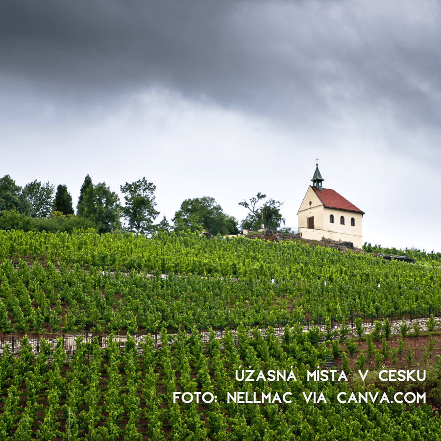 Vinice sv. Kláry Troja