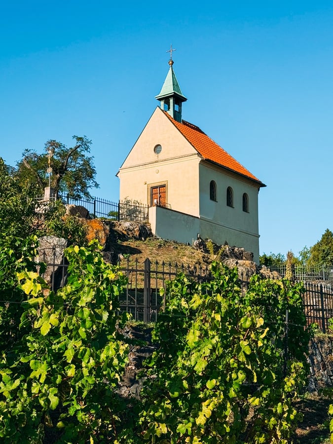 Vinice sv. Kláry Troja