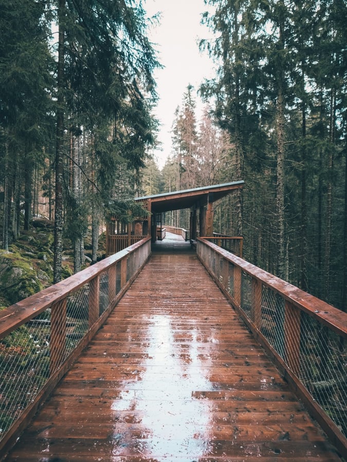 Vlčí výběh Srní