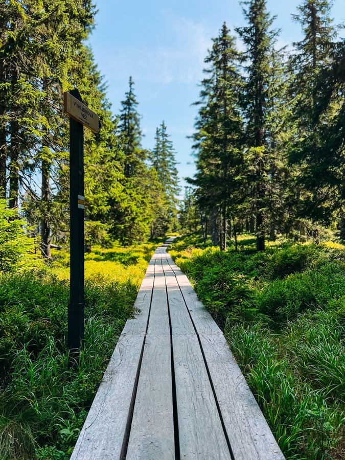 Černohorské rašeliniště