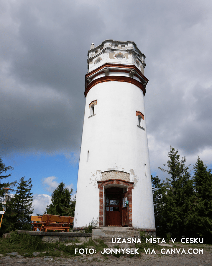 Biskupská kupa