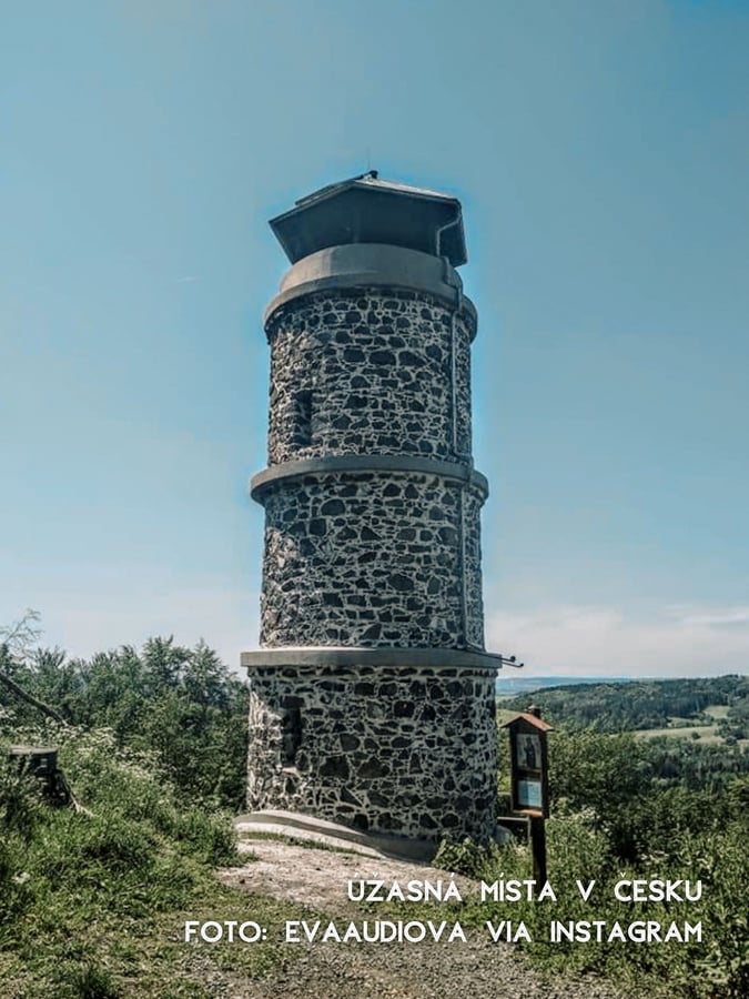 Bučina