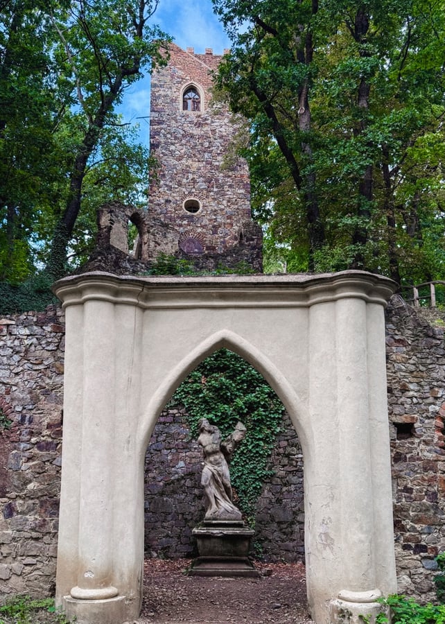Cibulka