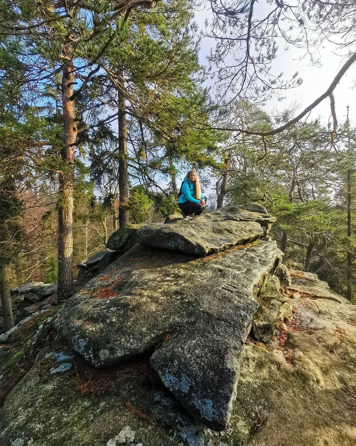 Čtyři palice