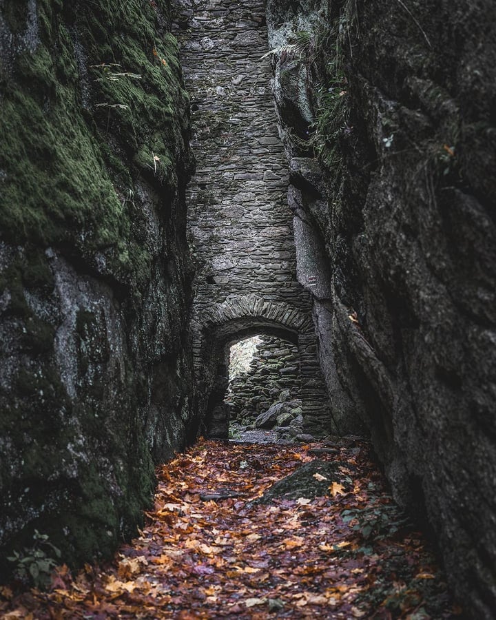 Štarkov