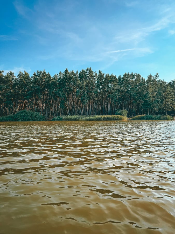 Komárovský rybník