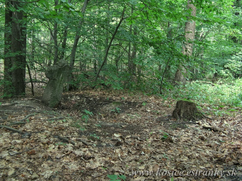 Zmierovací kríž v Ťahanovskom lese