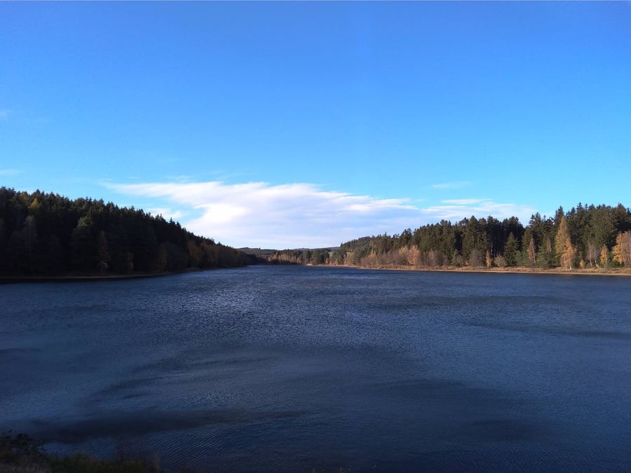 Domanínský rybník