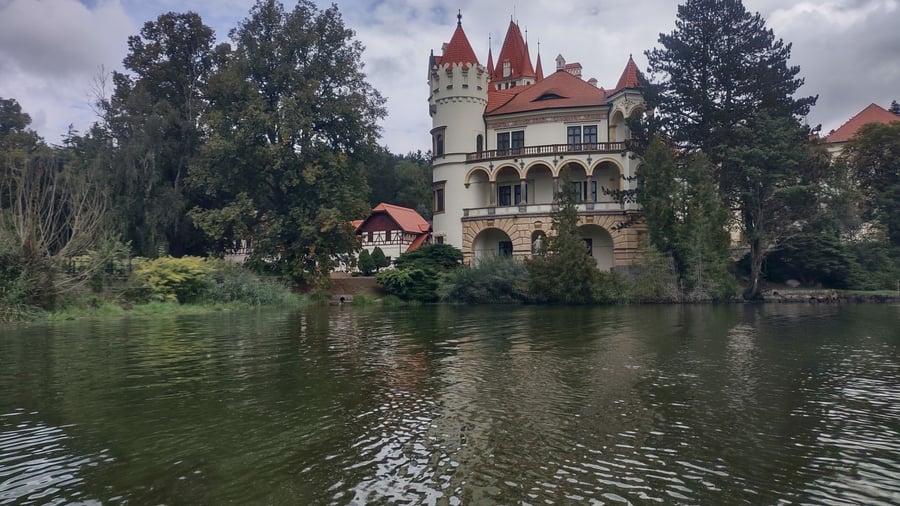 Žinkovský rybník - Labuť
