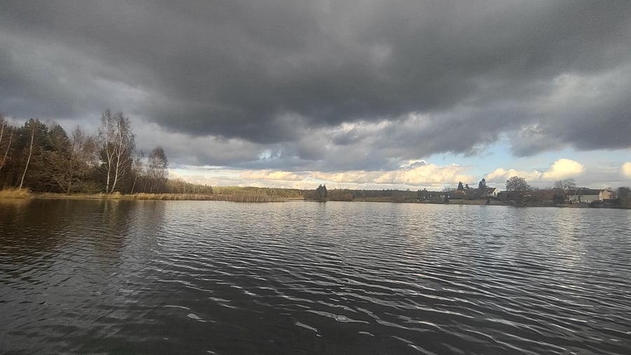 Rosovice, Sychrovský rybník