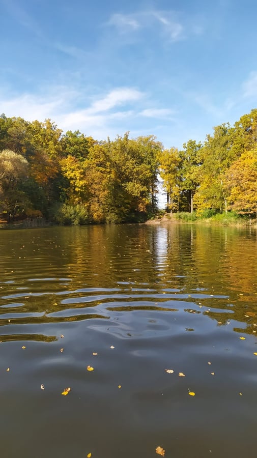 Opatovický rybník