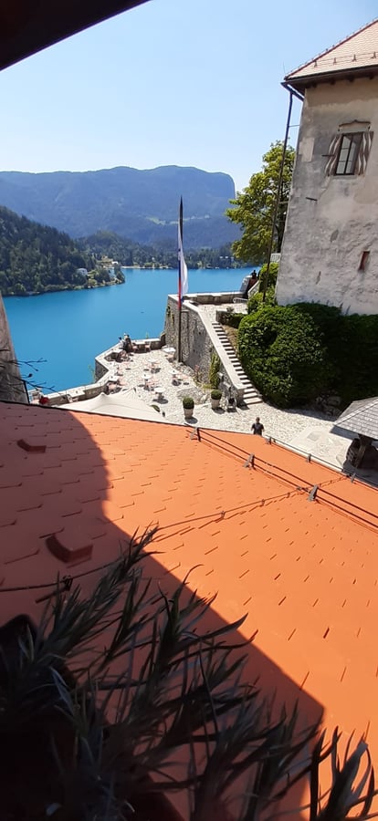 Bled
