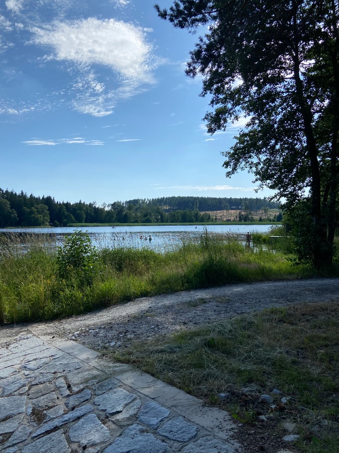 Černý rybník