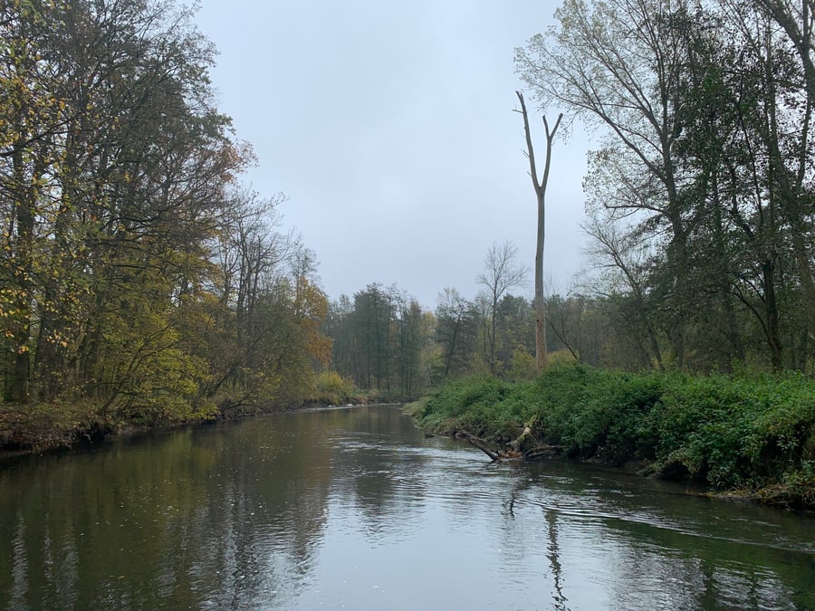 Malá voda - Svodnice - Morava - Mlýnský p. (Litovel - Horka nad Moravou)