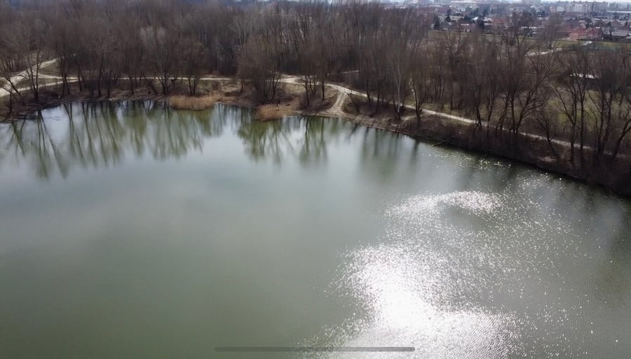 Koleno